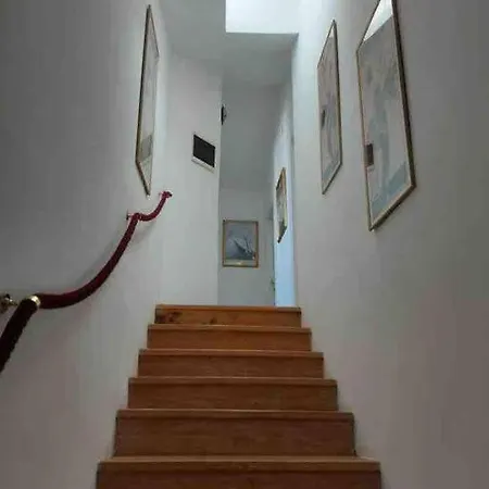 Apartment Dhalia *